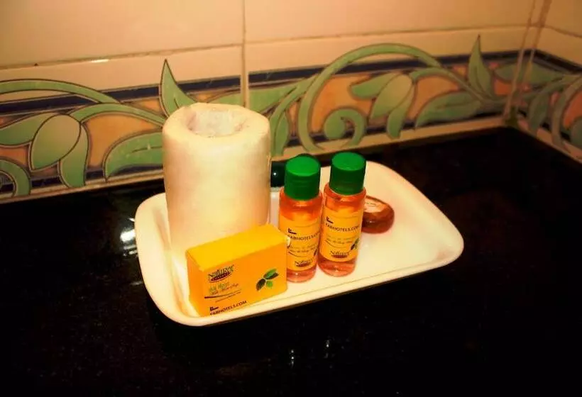 Fabhotel Prime Kbs Grand