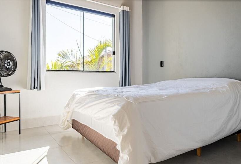 פונדק Vivaio 01