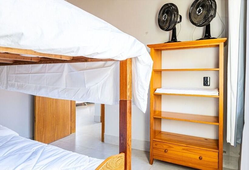 פונדק Vivaio 01