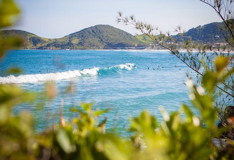 פונדק Vivaio 01