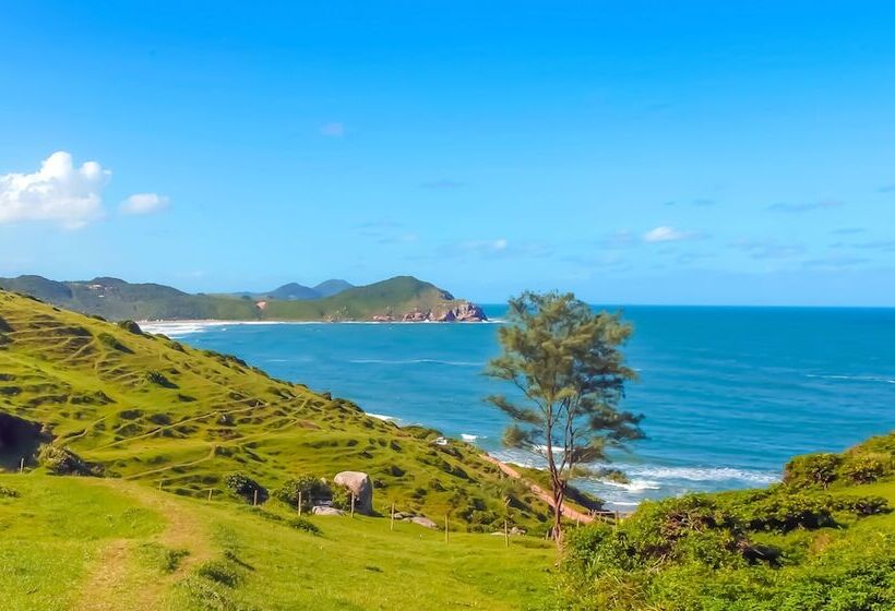 פונדק Vivaio 01