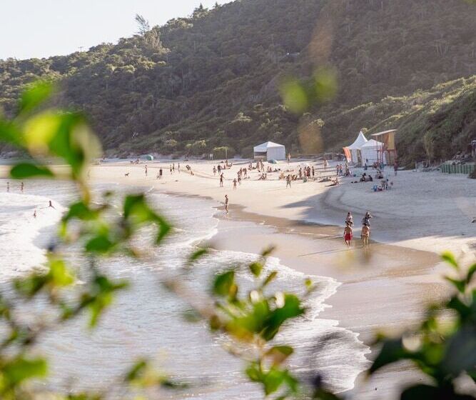 פונדק Vivaio 01