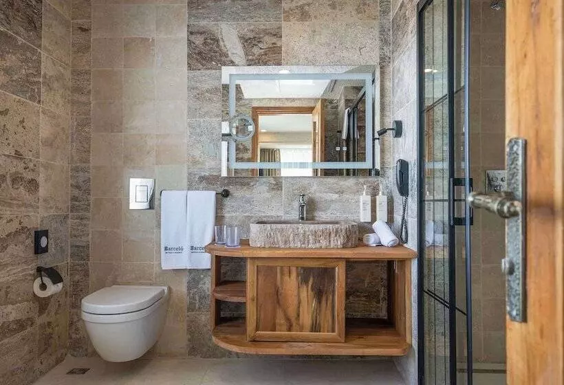 ホテル Barcelo Cappadocia