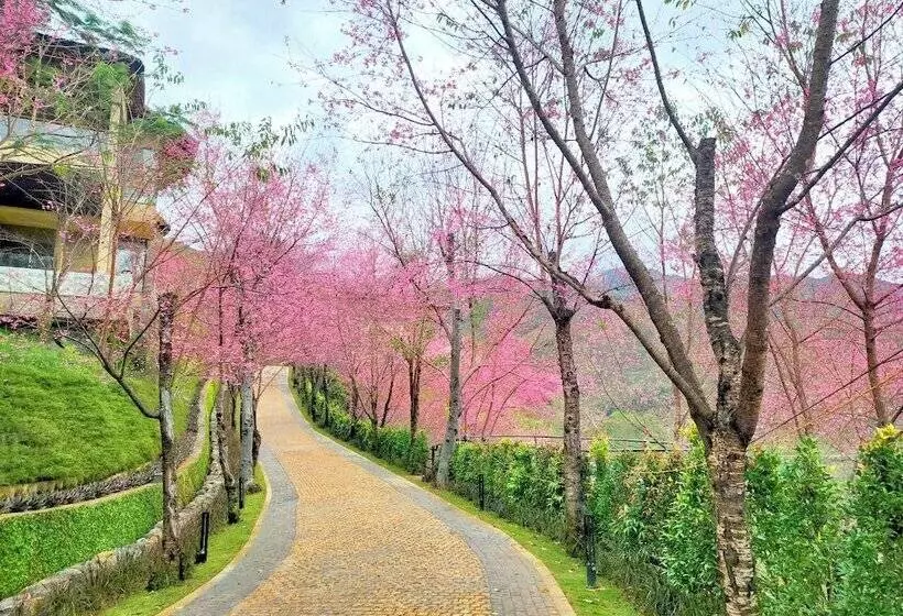 هتل Garrya Mu Cang Chai