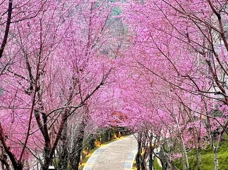 هتل Garrya Mu Cang Chai