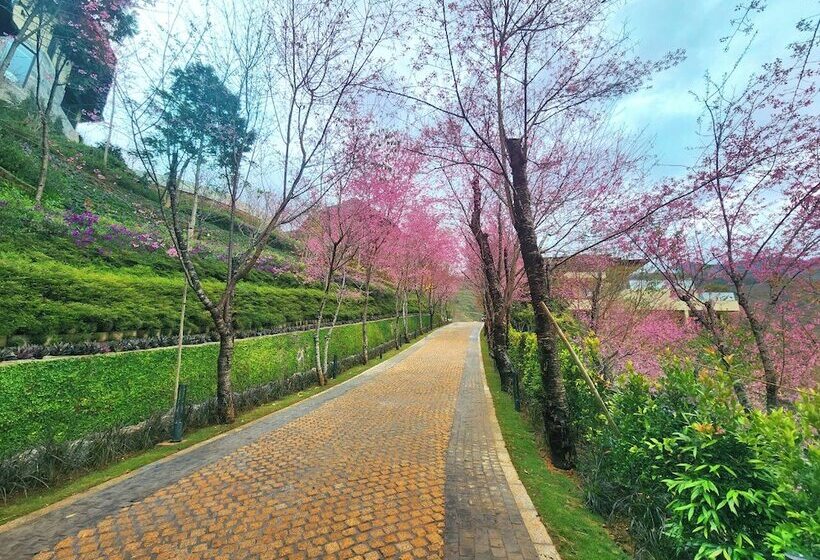 Hotelli Garrya Mu Cang Chai