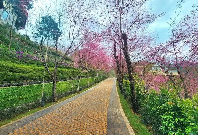 هتل Garrya Mu Cang Chai