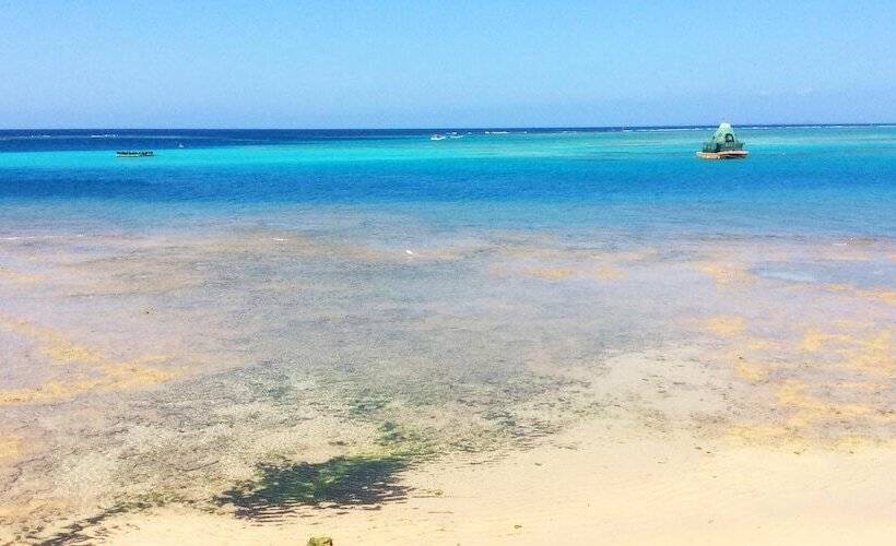 Отель Kokusaburo House