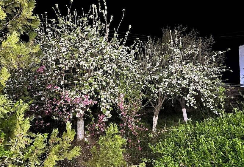 هتل Qibla Tozabog