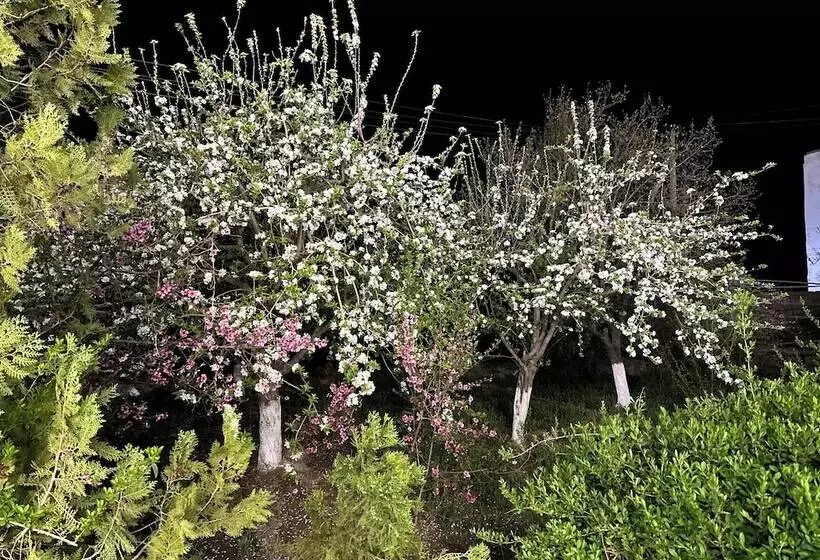 Hotelli Qibla Tozabog