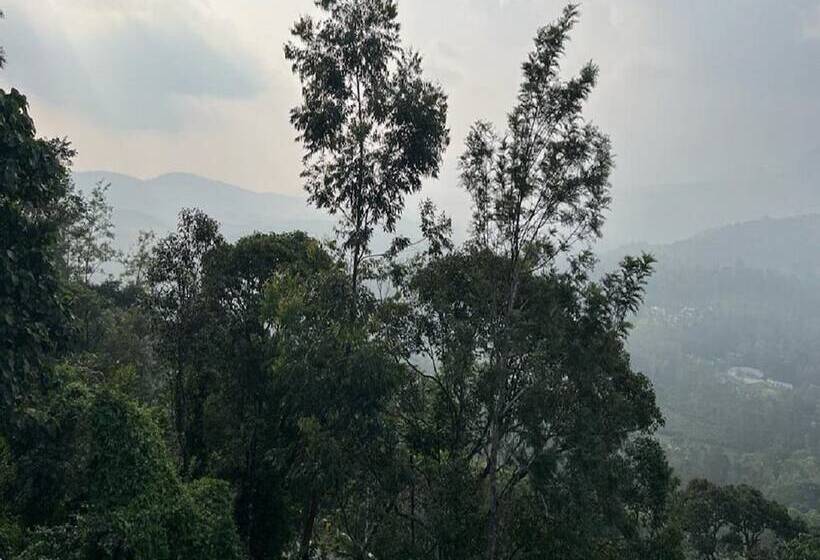 ホテル Tomsons Resort