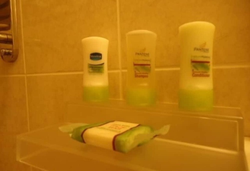 Motel Relax Inn Elmira