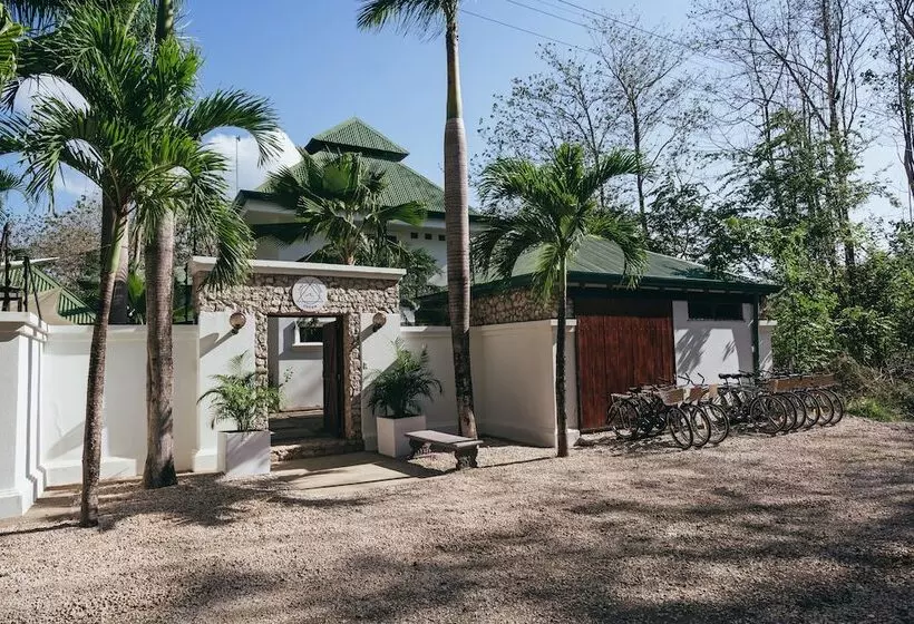 پانسیون Dream Surf House Avellana