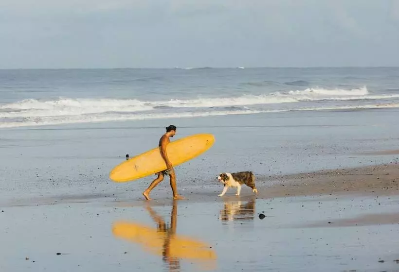 پانسیون Dream Surf House Avellana
