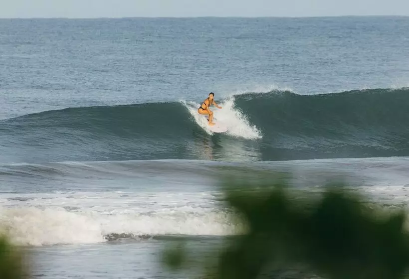 پانسیون Dream Surf House Avellana