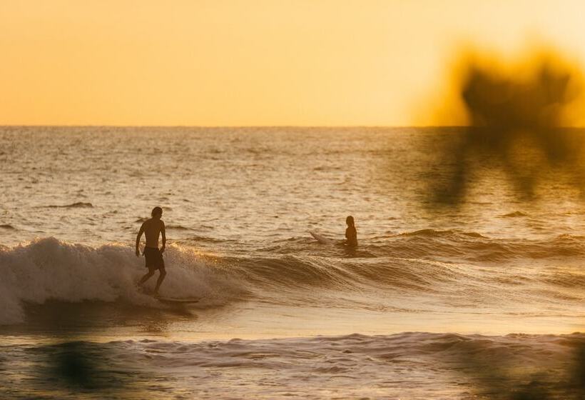 پانسیون Dream Surf House Avellana