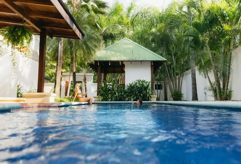 پانسیون Dream Surf House Avellana