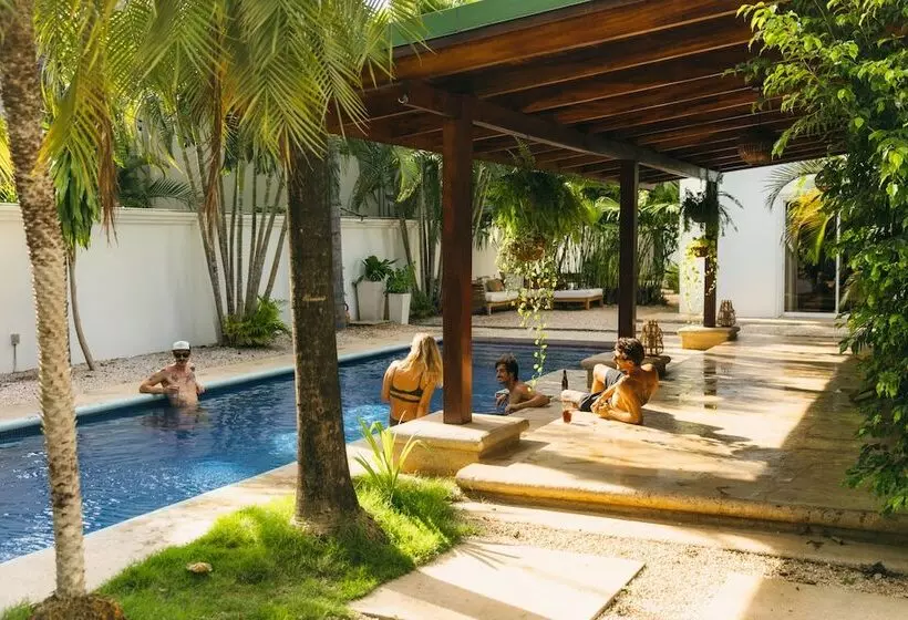 پانسیون Dream Surf House Avellana