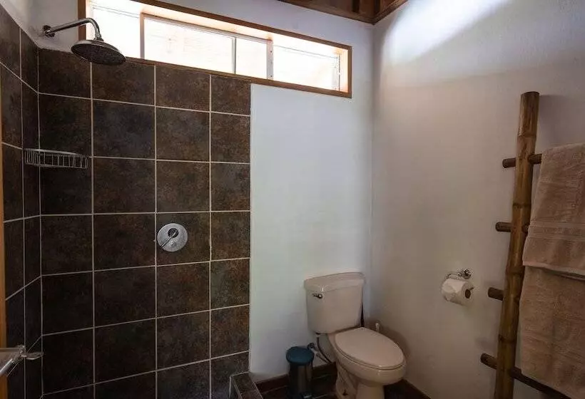 پانسیون Dream Surf House Avellana