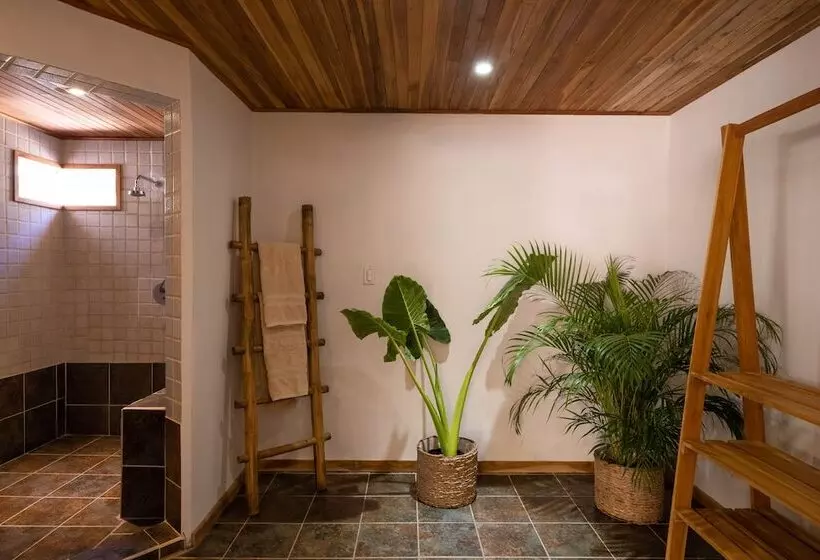 پانسیون Dream Surf House Avellana