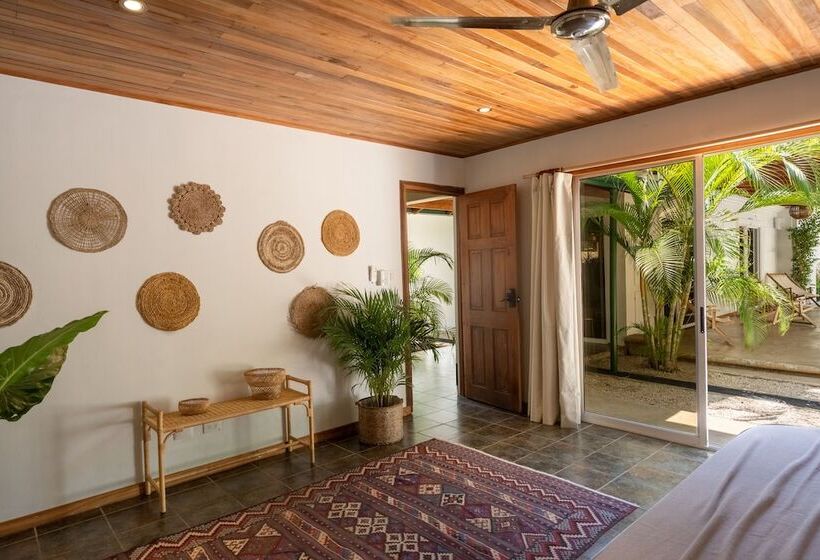 پانسیون Dream Surf House Avellana