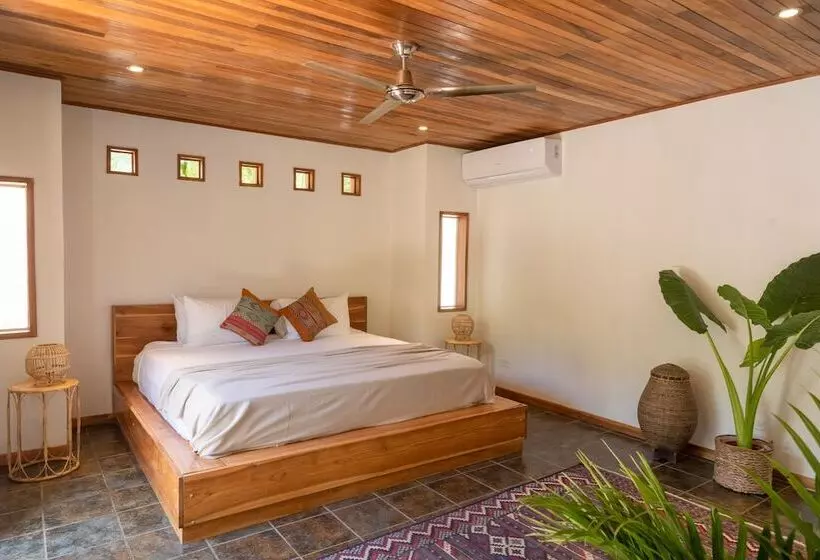 پانسیون Dream Surf House Avellana