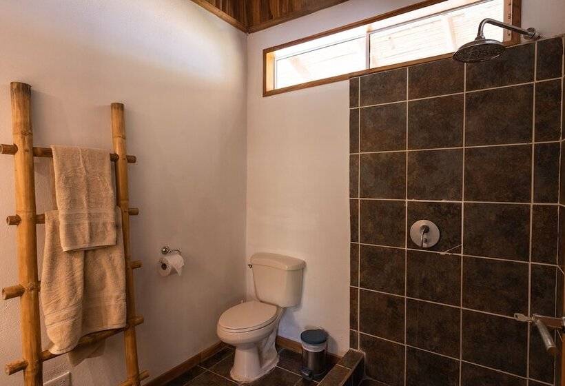 پانسیون Dream Surf House Avellana