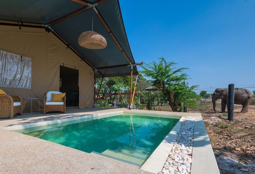 渡假胜地  Elephant View Camp