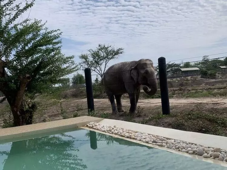 リゾートホテル Elephant View Camp