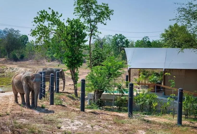 リゾートホテル Elephant View Camp