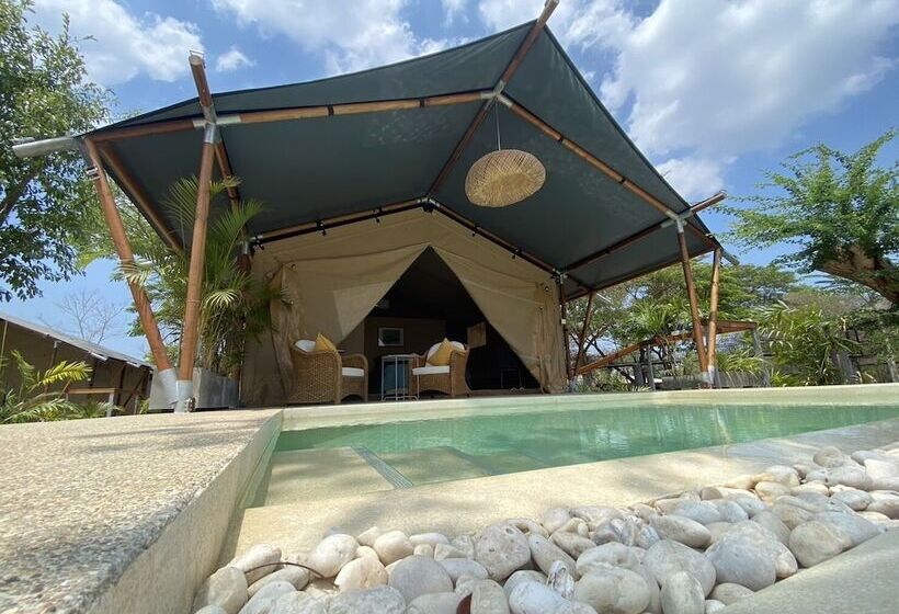 渡假胜地  Elephant View Camp