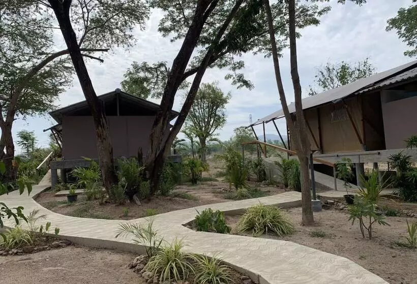 リゾートホテル Elephant View Camp