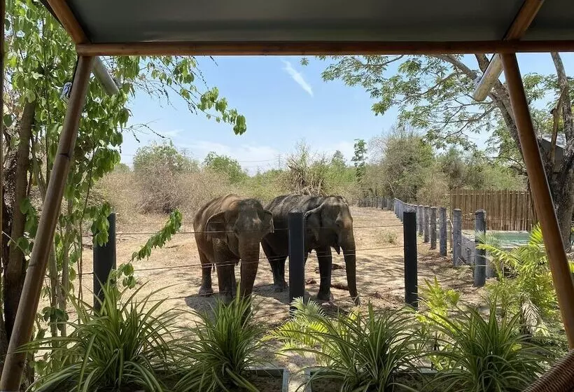 リゾートホテル Elephant View Camp