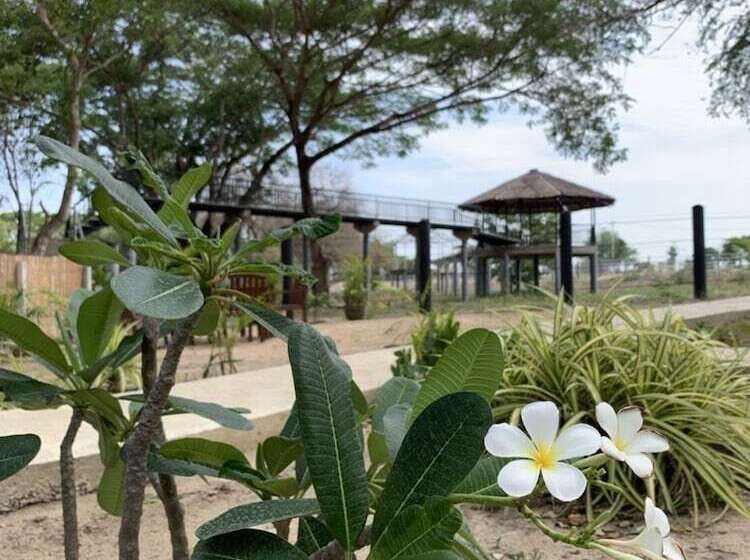 渡假胜地  Elephant View Camp