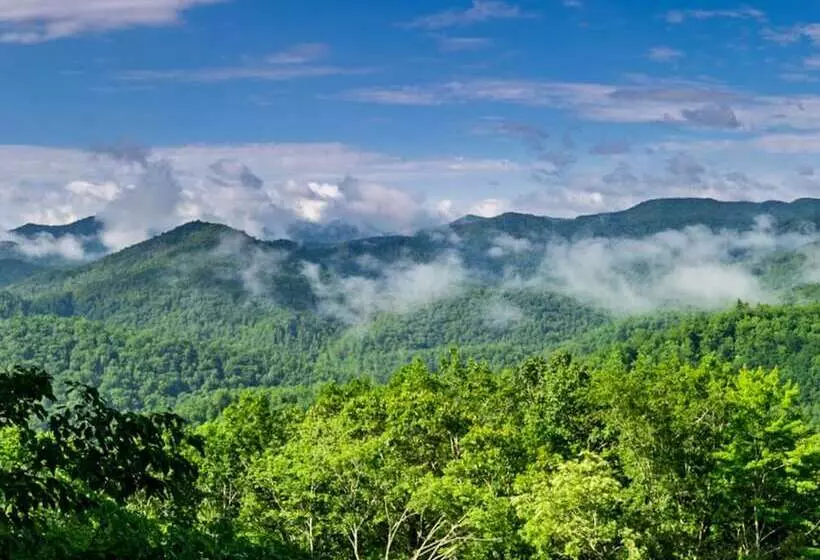 Hotelli Snowbird Mountain Lodge