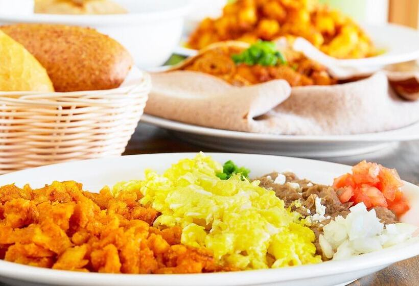 هتل Bulcha International