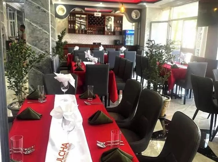 هتل Bulcha International