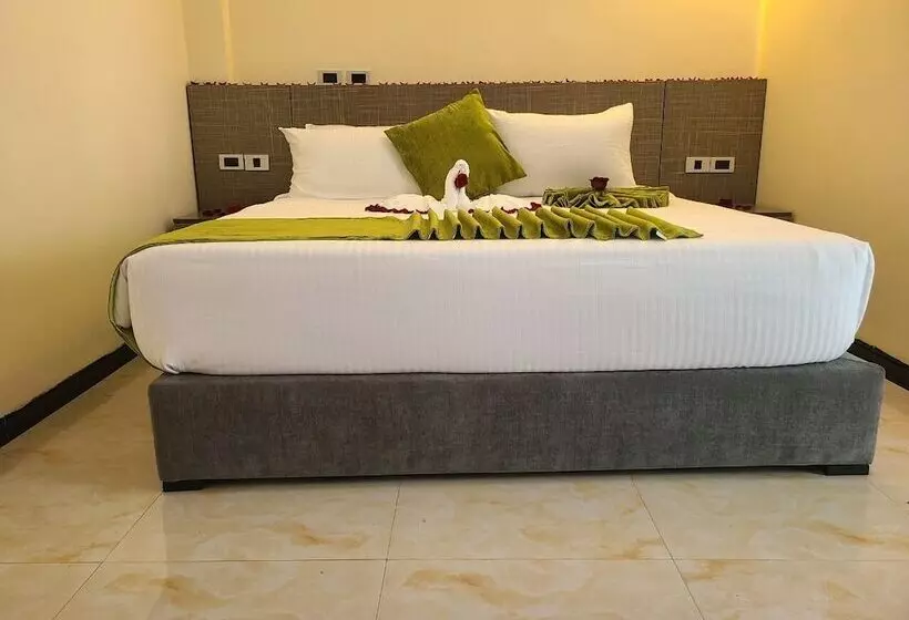 هتل Bulcha International