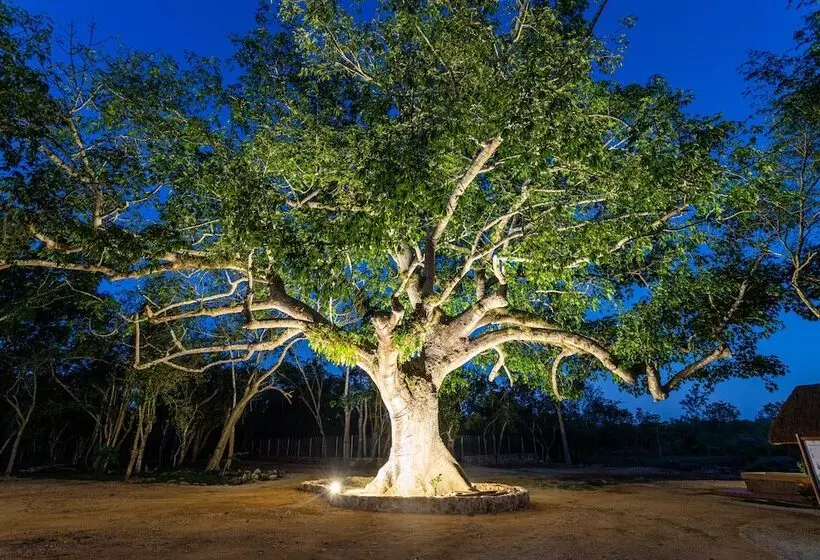 Xuux Peek Hotel Ecoturístico