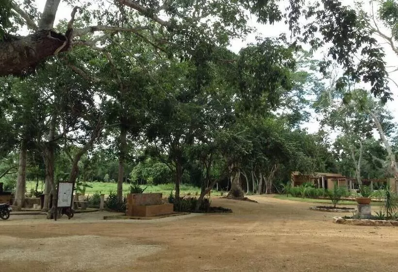 Xuux Peek Hotel Ecoturístico