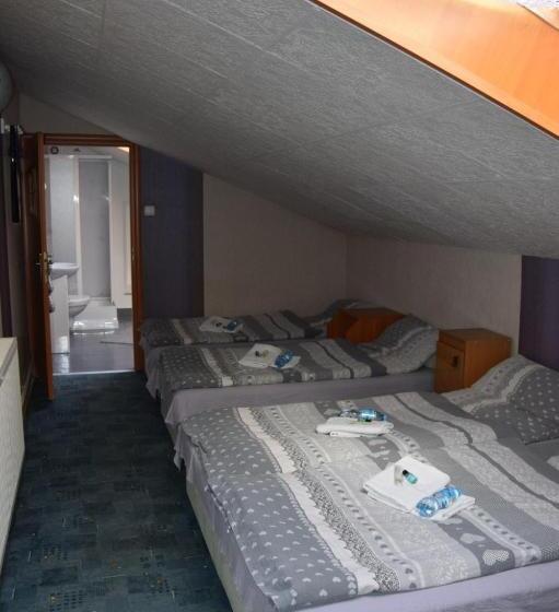 Общежитие Noclegi Viktor