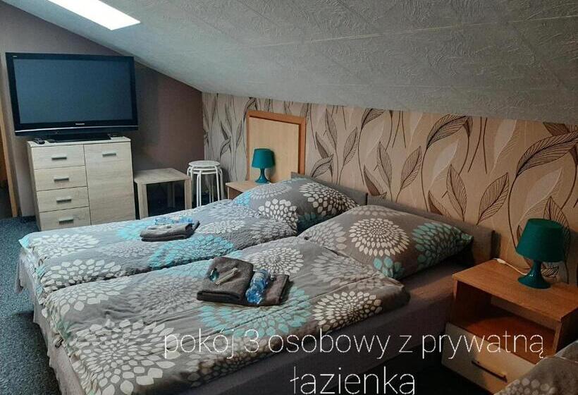 Общежитие Noclegi Viktor