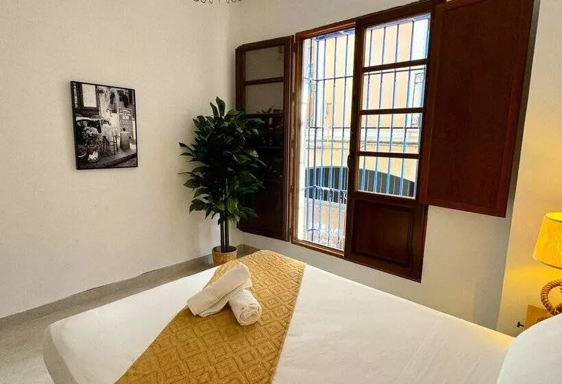 Apartamentos Plaza San Agustin 3000