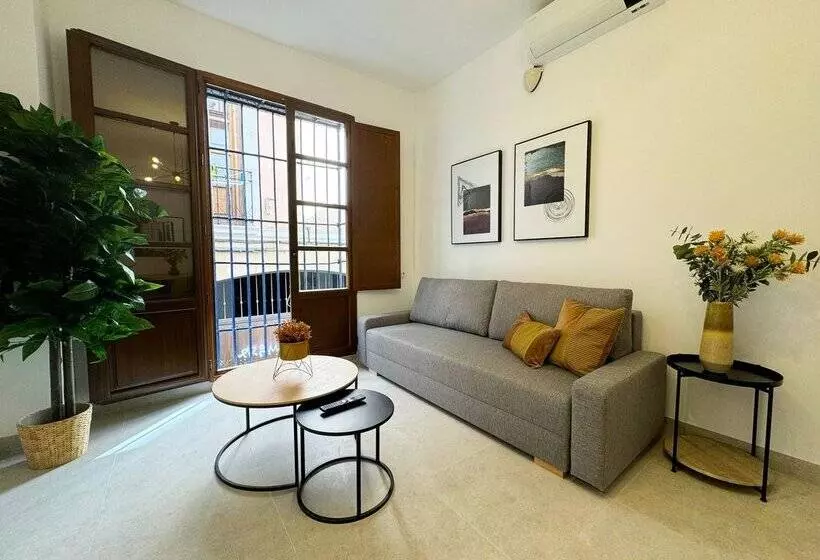 Apartamentos Plaza San Agustin 3000