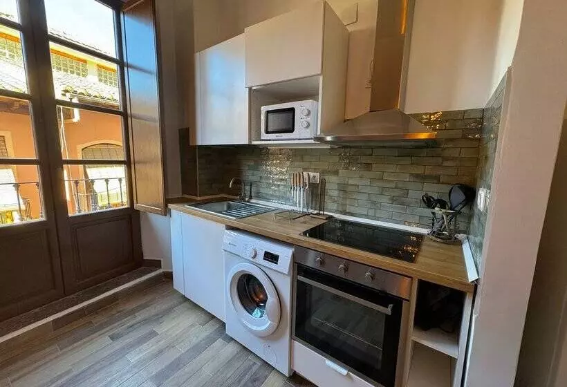 Apartamentos Plaza San Agustin 3000