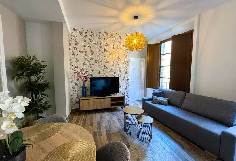 Apartamentos Plaza San Agustin 3000