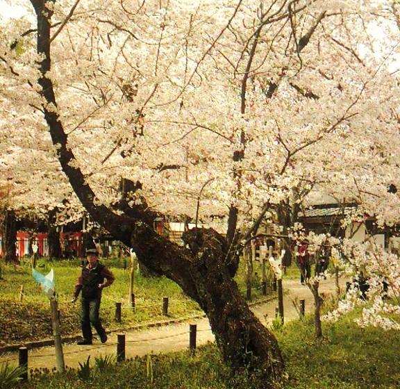 호스텔 Orange Inn