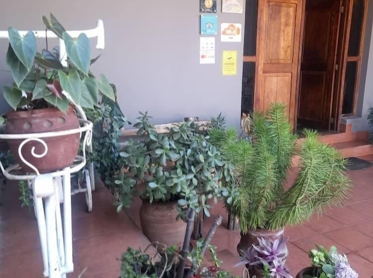 Отель Boulevard Inn Mt Meru