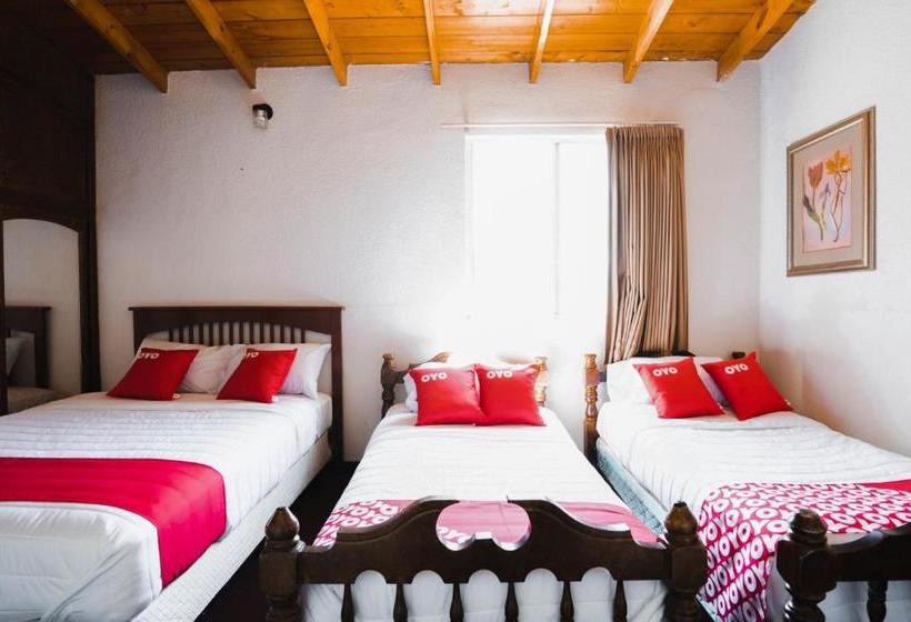 בית מלון כפרי Coco Beach