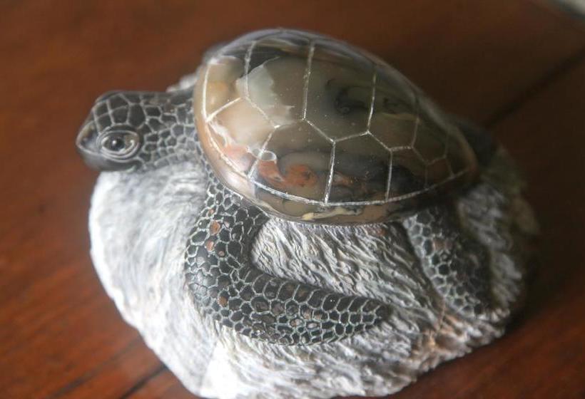 אתר נופש Nine Degrees North Pavilion